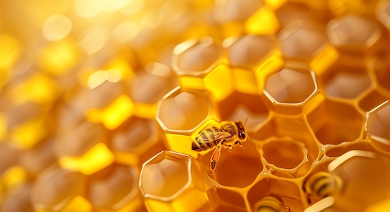 Alvéoles hexagonales d'abeilles